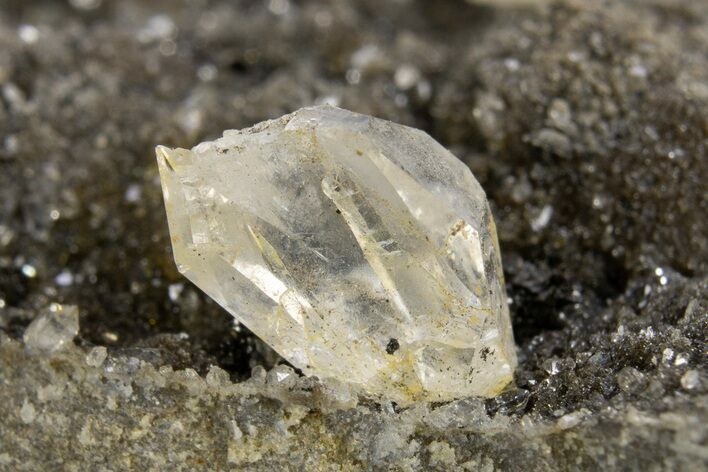 Herkimer Diamonds in Matrix - The Ace of Diamonds Mine, New York #324460